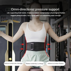 Back support belt-4