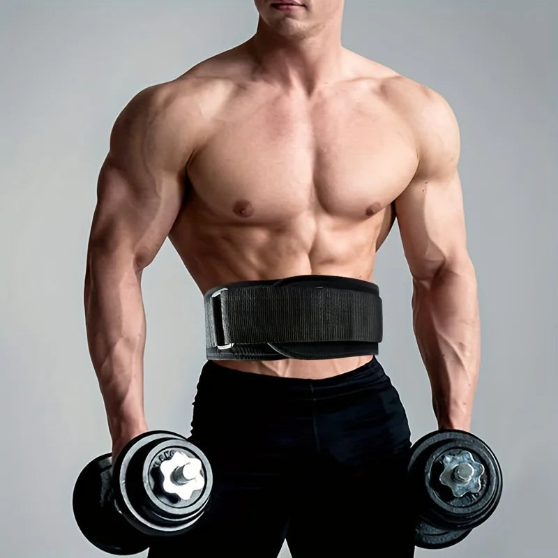 Back support belt
